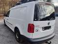 Volkswagen Caddy Caddy Kombi Maxi 2,0 TDI 4MOTION Weiß - thumbnail 3