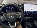 Lexus NX 450h+ 4WD PREMIUM+ Verde - thumbnail 9