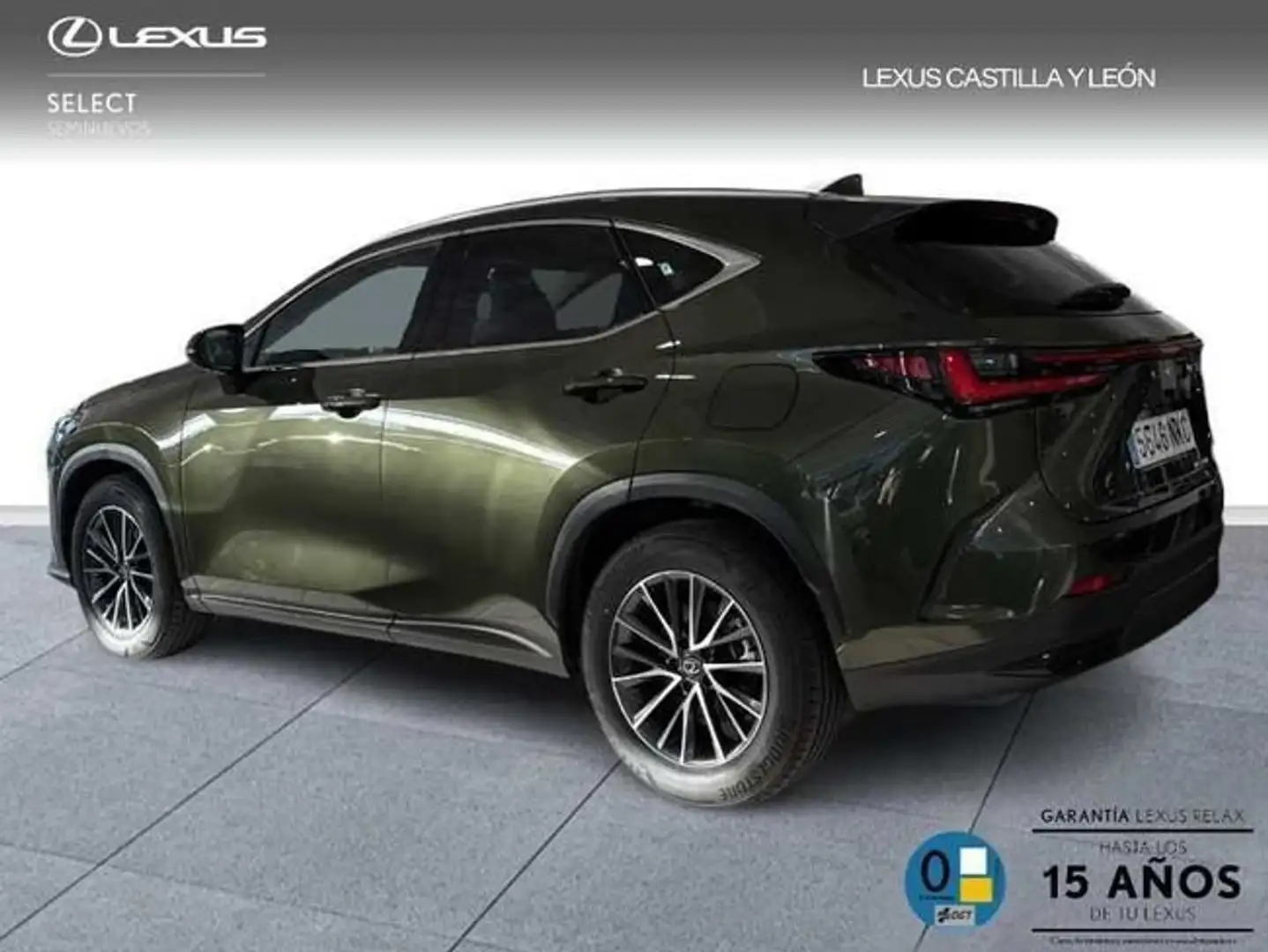 Lexus NX 450h+ 4WD PREMIUM+ Verde - 2