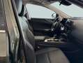 Lexus NX 450h+ 4WD PREMIUM+ Verde - thumbnail 6
