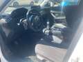 Peugeot 2008 2008 II 2020 1.5 bluehdi Allure Navi Pack s Blanco - thumbnail 9