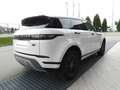 Land Rover Range Rover Evoque LAND ROVER RANGE ROVER EVOQUE 2.0 TD4 FWD 150CV Bianco - thumbnail 6