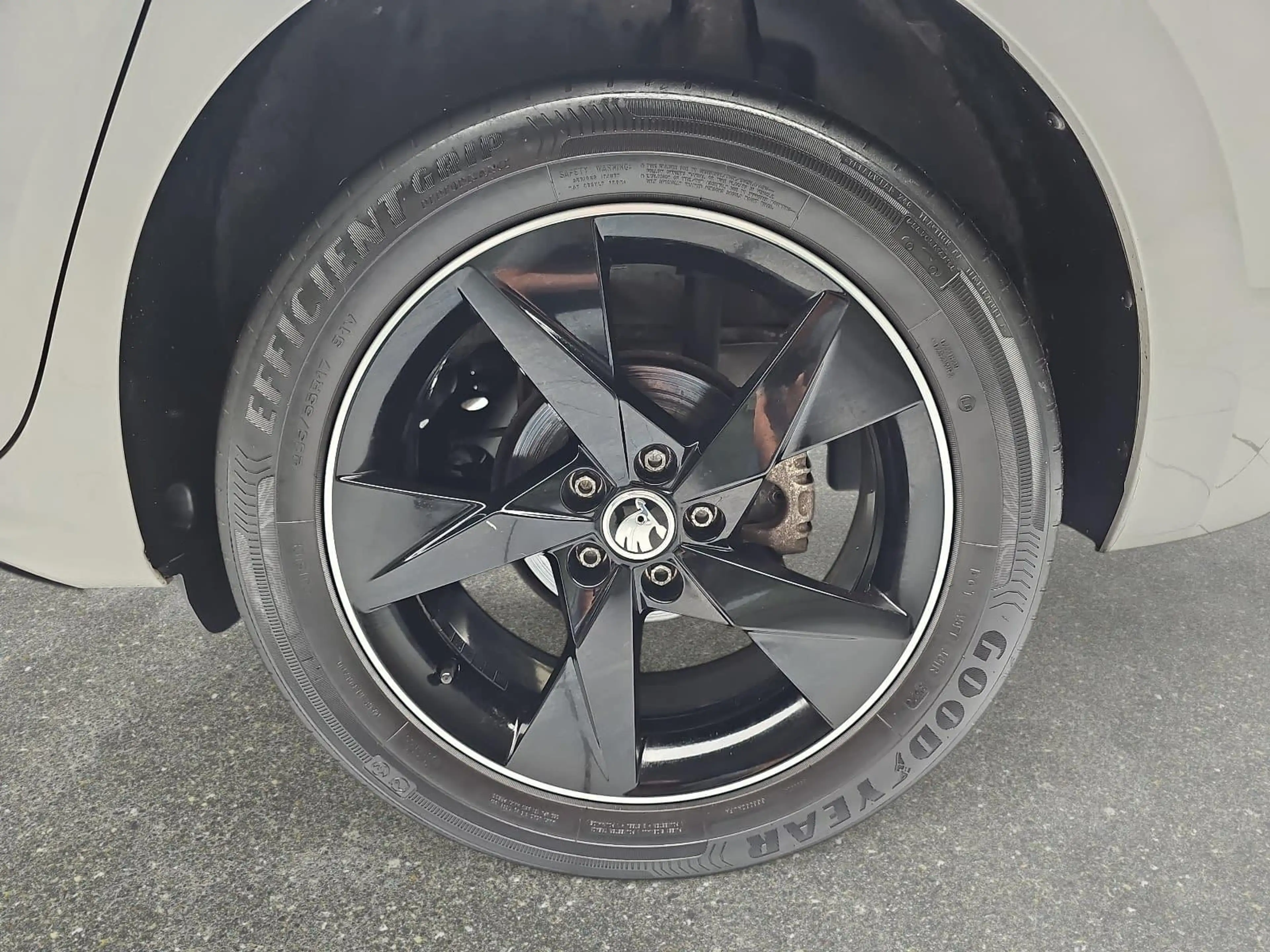 Skoda Kamiq Kamiq 1.0 TSI Monte Carlo LED ACC Winter — photo 7