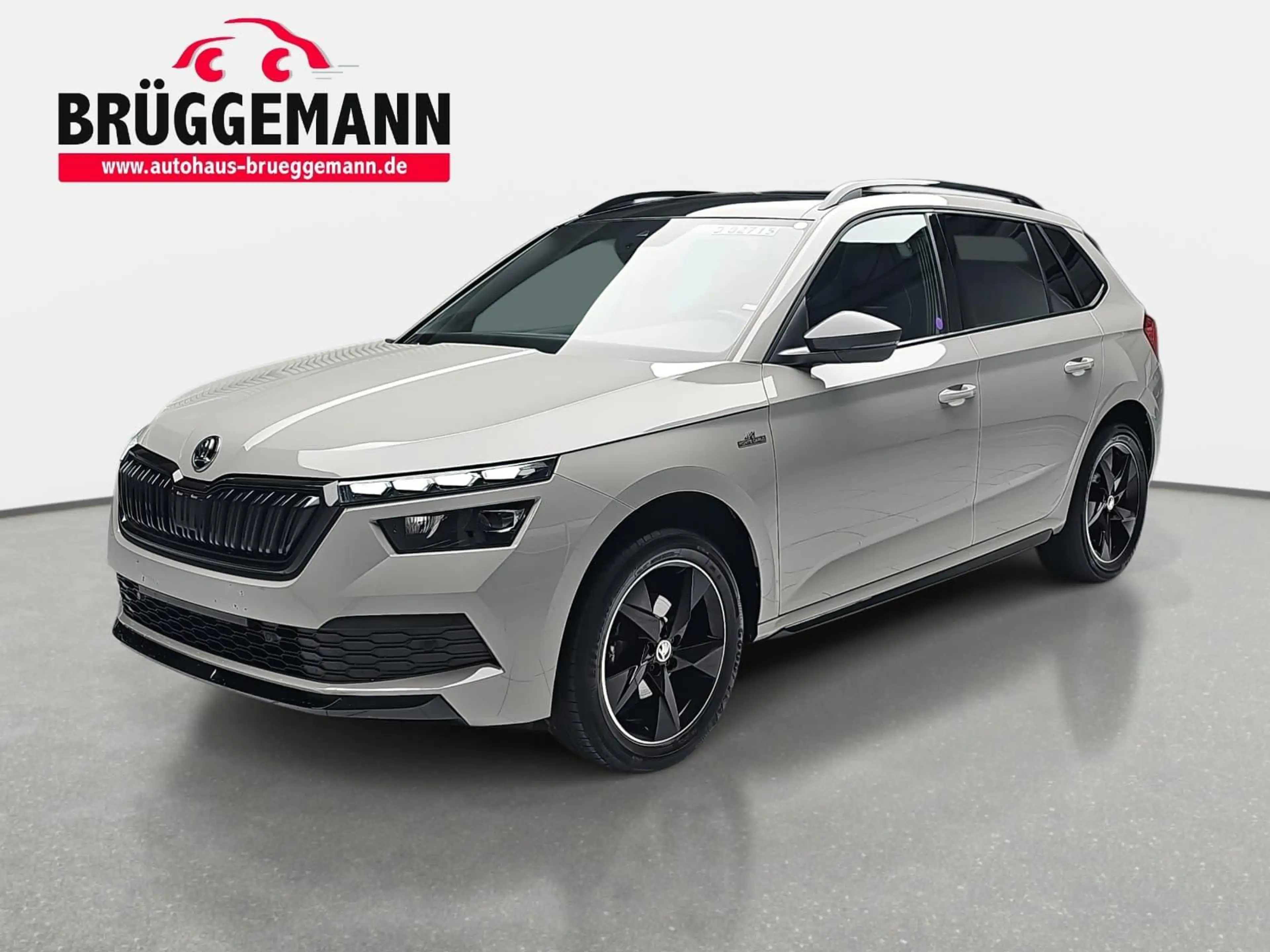 Skoda Kamiq Kamiq 1.0 TSI Monte Carlo LED ACC Winter