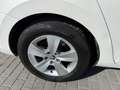 Skoda Superb Combi 2.0TDI AdBlue Active 110kW Blanc - thumbnail 5