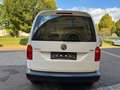 Volkswagen Caddy Caddy Kastenwagen 2,0 TDI 4MOTION  KLlima Ntto ... Blanc - thumbnail 7