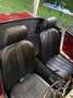 MG Midget Rot - thumbnail 11