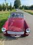 MG Midget Rot - thumbnail 3