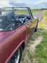 MG Midget Rot - thumbnail 6
