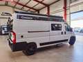 Chausson V594 FIRST LINE / -2025- /140PS/ ZUBEHÖR - PAKET Blanc - thumbnail 4