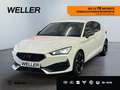 CUPRA Leon 2.0 TDI DSG *LED*ACC*Navi*SHZ*CAM*Kessy*PDC* Weiß - thumbnail 1