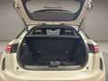 DS Automobiles DS 3 Crossback BlueHDi 100 BUSINESS SUPER FULL! Bianco - thumbnail 15