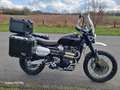 Triumph Scrambler Triumph Scrambler 1200 XC Negro - thumbnail 2