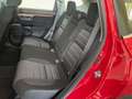 Honda CR-V 1.5T Elegance Navi CON PROMO PLUS Rosso - thumbnail 12