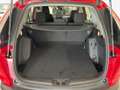 Honda CR-V 1.5T Elegance Navi CON PROMO PLUS Rosso - thumbnail 9