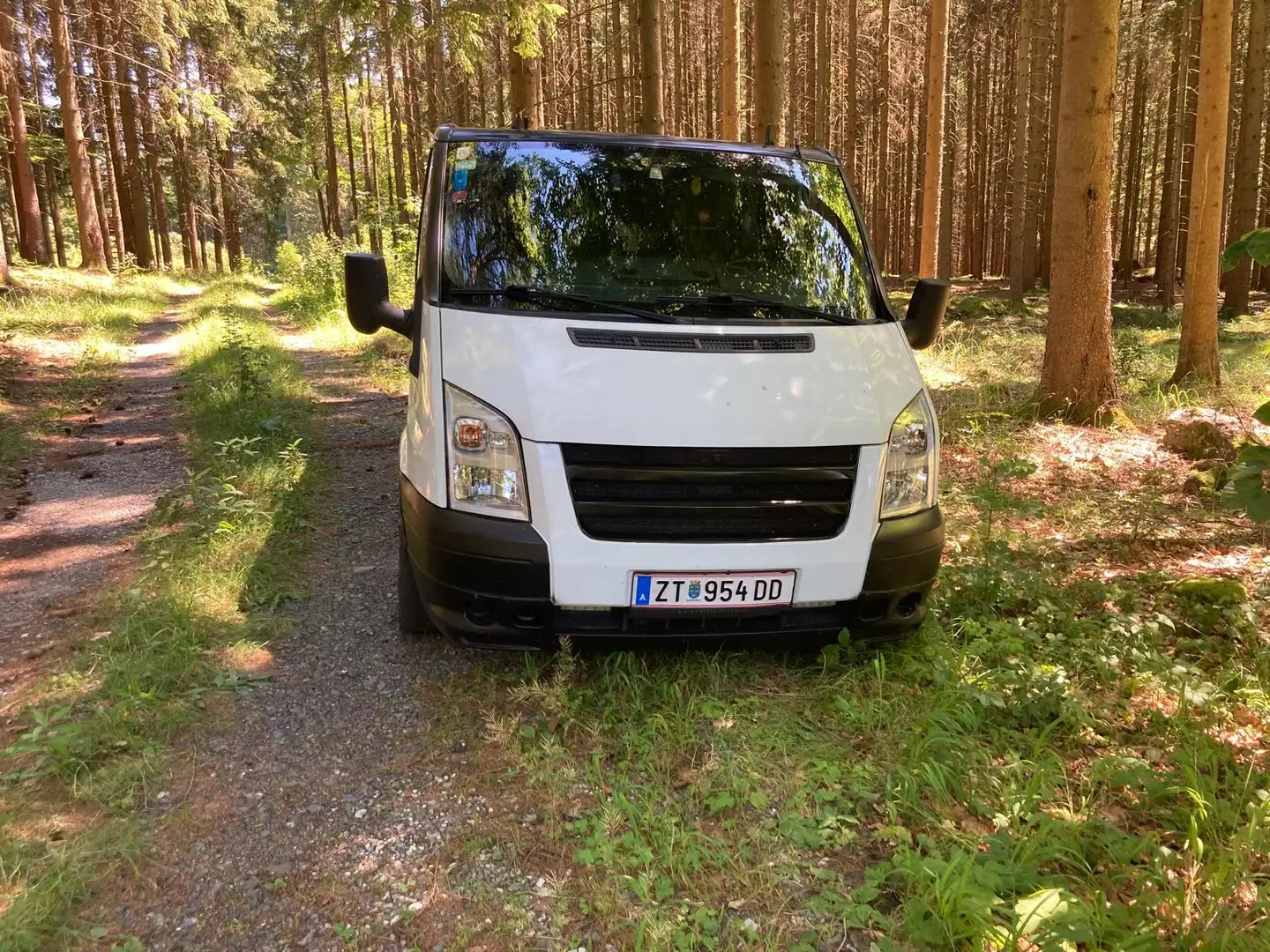 Ford Transit 100 Vario 4.11 TD - 1