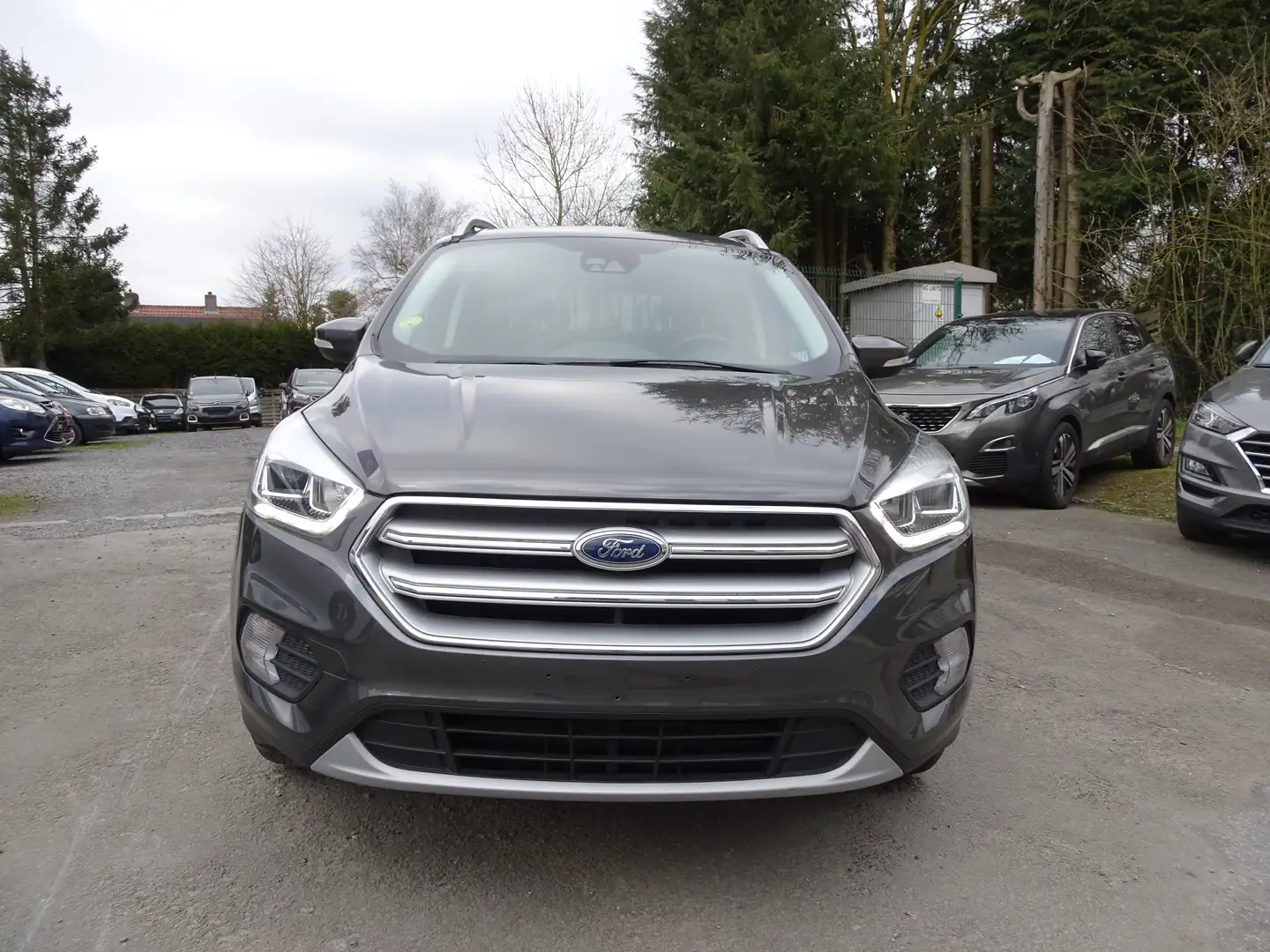 Ford Kuga 2.0 TDCi FWD Business Class PS (EU6.2) Gris - 1