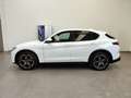 Alfa Romeo Stelvio 2.2 TD AT8 Pelle&Tessuto Navi Telecamera Cerchi20" Bianco - thumbnail 44