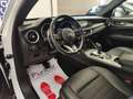 Alfa Romeo Stelvio 2.2 TD AT8 Pelle&Tessuto Navi Telecamera Cerchi20" Bianco - thumbnail 40