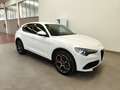 Alfa Romeo Stelvio 2.2 TD AT8 Pelle&Tessuto Navi Telecamera Cerchi20" Bianco - thumbnail 2