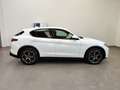 Alfa Romeo Stelvio 2.2 TD AT8 Pelle&Tessuto Navi Telecamera Cerchi20" Bianco - thumbnail 42