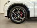Alfa Romeo Stelvio 2.2 TD AT8 Pelle&Tessuto Navi Telecamera Cerchi20" Bianco - thumbnail 48