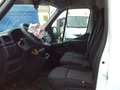 Renault Master 2.3 maxi.l3h2  ONGEVAL VOORAAN..... Wit - thumbnail 8