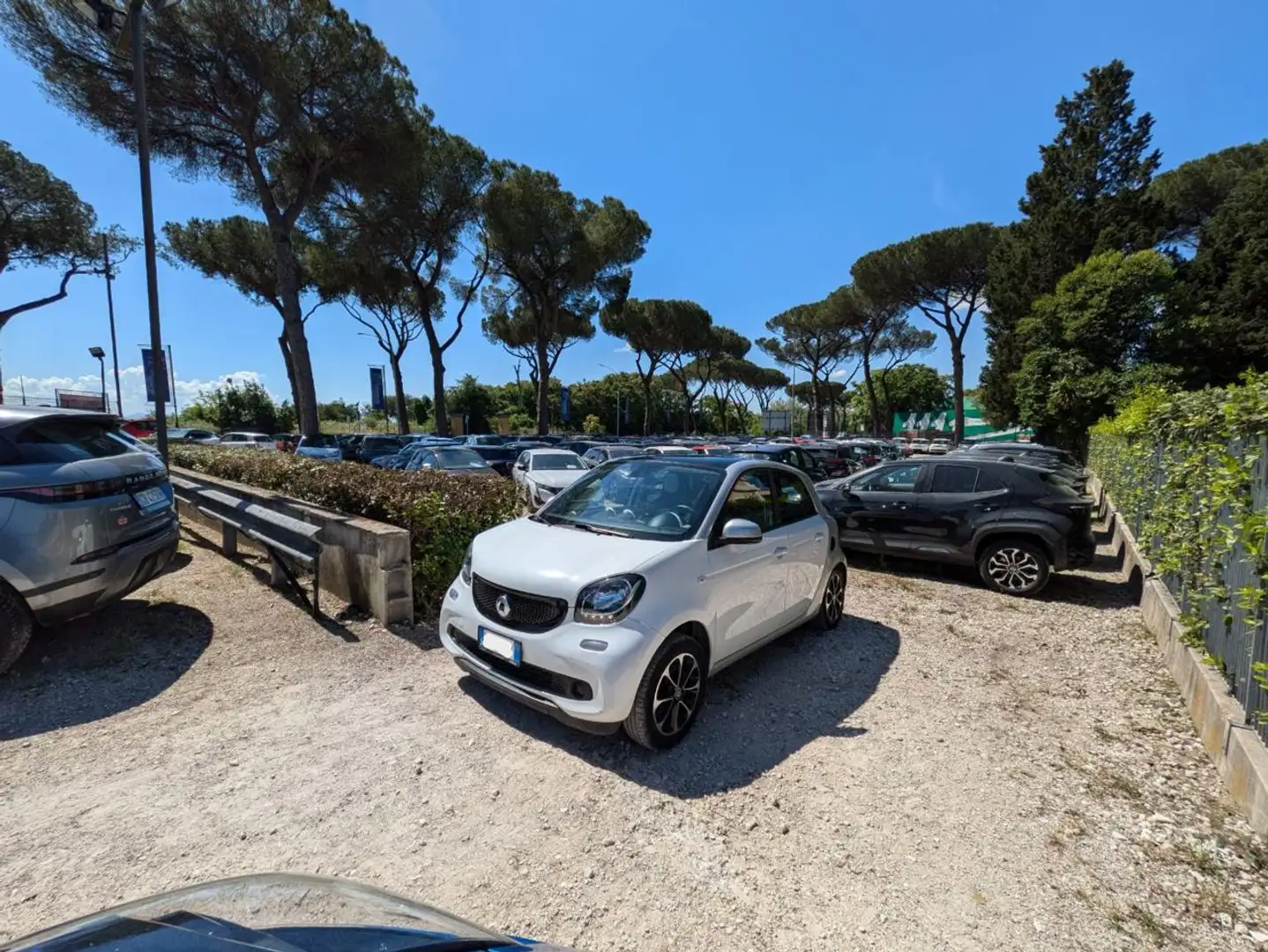 smart forFour 1.0 GPL 72CV PASSION TWINAMIC TETTO PANORAMA Bianco - 1