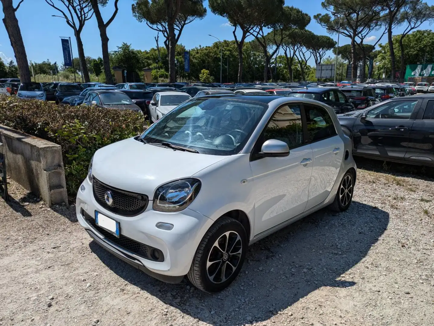 smart forFour 1.0 GPL 72CV PASSION TWINAMIC TETTO PANORAMA Bianco - 2