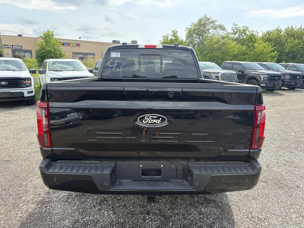 Ford F 150 снимка Ford F 150