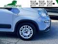 Fiat Panda 1.0 FireFly S&S Hybrid Grigio - thumbnail 11
