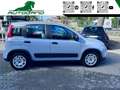 Fiat Panda 1.0 FireFly S&S Hybrid Grigio - thumbnail 12