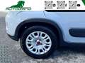 Fiat Panda 1.0 FireFly S&S Hybrid Grigio - thumbnail 10
