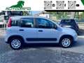 Fiat Panda 1.0 FireFly S&S Hybrid Grigio - thumbnail 14