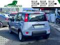 Fiat Panda 1.0 FireFly S&S Hybrid Grigio - thumbnail 4