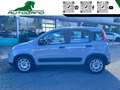 Fiat Panda 1.0 FireFly S&S Hybrid Grigio - thumbnail 13