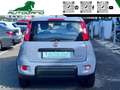 Fiat Panda 1.0 FireFly S&S Hybrid Grigio - thumbnail 5