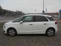 Citroen C4 Picasso C4 Picasso e-HDi 115 Automatik PRIVATERVAUF Weiß - thumbnail 6