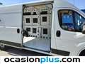 Fiat Ducato Fg. 35 2.3Mjt L3 H2 140CV Wit - thumbnail 13
