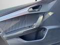 CUPRA Formentor VZ 2.0 TSI 4Drive LEDER MATT BREMBO BE Grau - thumbnail 13