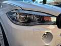 BMW X5 X5 40d xDrive M Paket Weiß - thumbnail 12