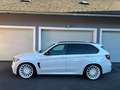 BMW X5 X5 40d xDrive M Paket Weiß - thumbnail 3
