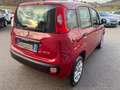 Fiat Panda 0.9 TwinAir Turbo METANO OK NEOPATENTATI Rosso - thumbnail 5