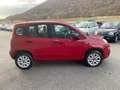 Fiat Panda 0.9 TwinAir Turbo METANO OK NEOPATENTATI Rosso - thumbnail 4