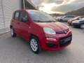 Fiat Panda 0.9 TwinAir Turbo METANO OK NEOPATENTATI Rosso - thumbnail 3