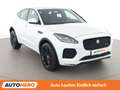Jaguar E-Pace P250 R-Dynamic AWD Weiß - thumbnail 8