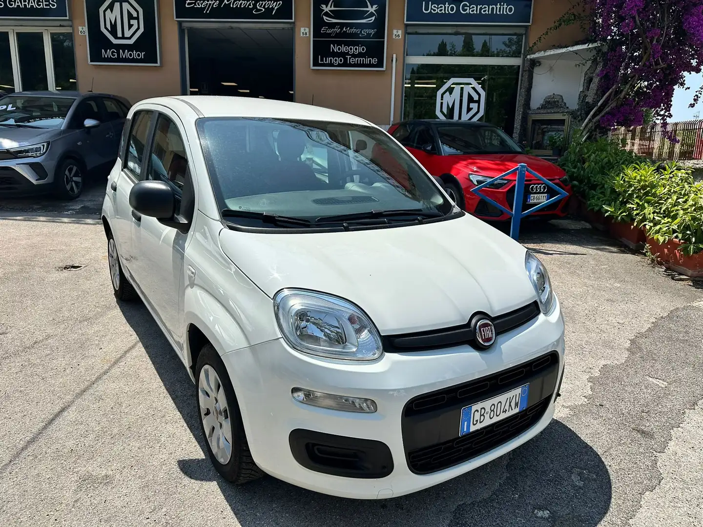 Fiat Panda Panda 1.2 Pop s Bianco - 2