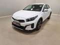 Kia XCeed 1.6 GDi PHEV DCT Vision LED|RFK|SHZ Weiß - thumbnail 2