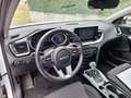 Kia XCeed 1.6 GDi PHEV DCT Vision LED|RFK|SHZ Wit - thumbnail 5