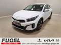 Kia XCeed 1.6 GDi PHEV DCT Vision LED|RFK|SHZ Weiß - thumbnail 1